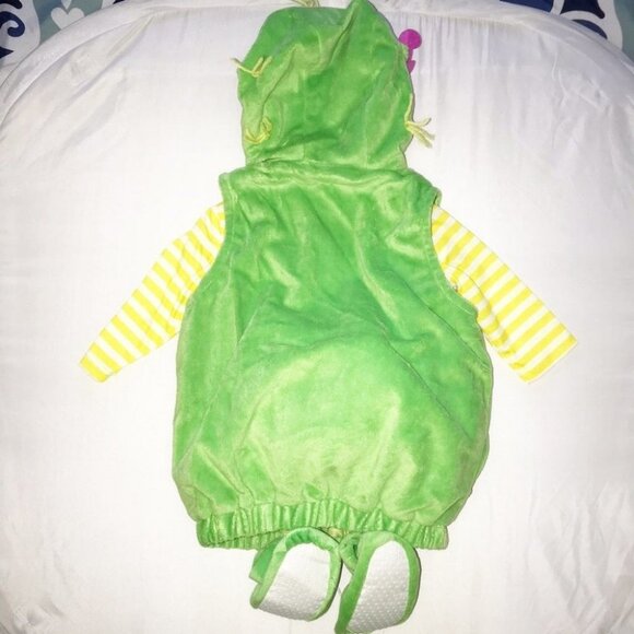 Infant complete costume Hyde and EEK Cactus Halloween New with tags - Picture 4 of 9